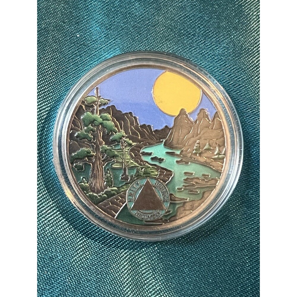 AA Sobriety Coin (blank) Recovery Addiction NA AA Chip